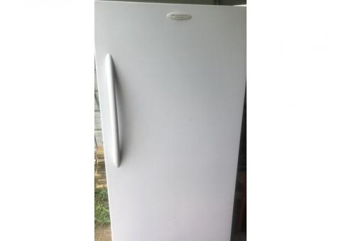 Frigidaire Commercial Freezer
